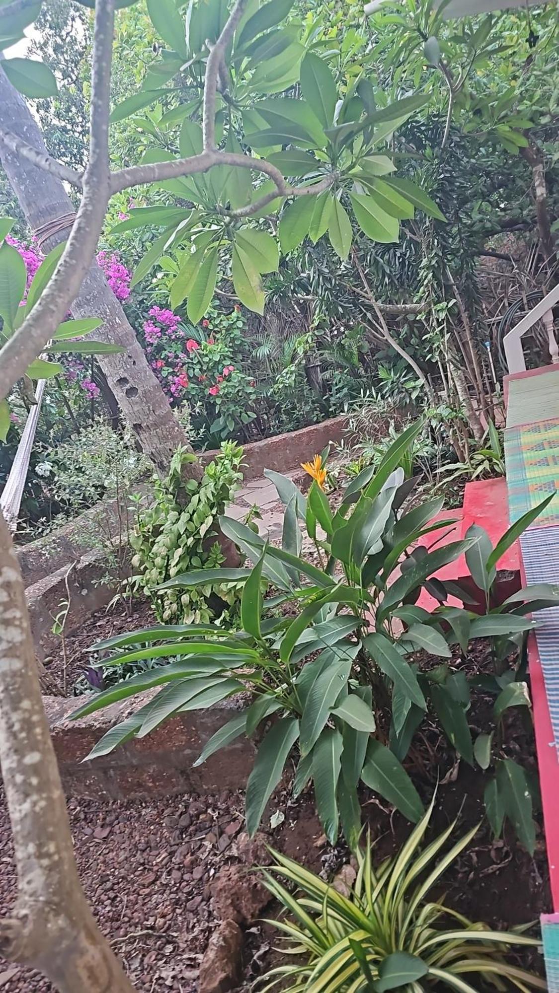 Laxmi Happy Home In Querim Goa Exterior foto