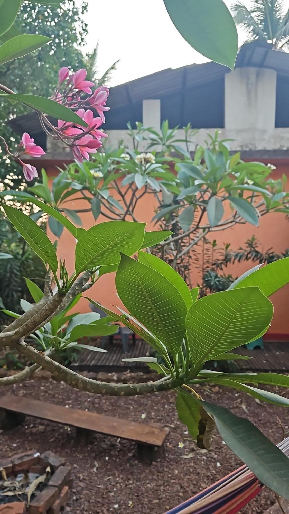 Laxmi Happy Home In Querim Goa Exterior foto